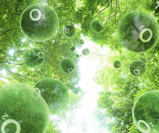 負(fù)氧離子 負(fù)氧離子